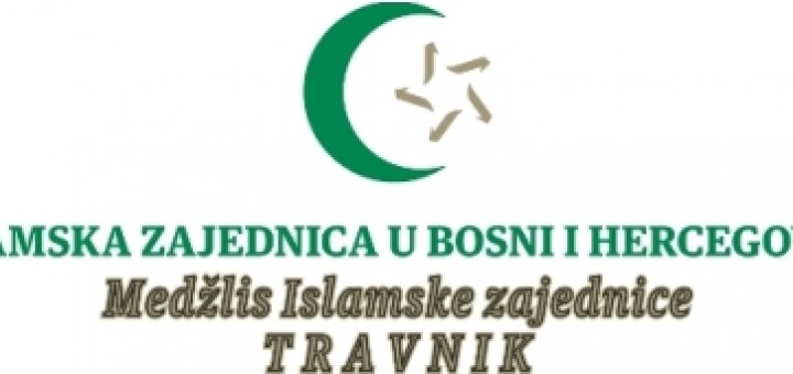 medzlis-logo